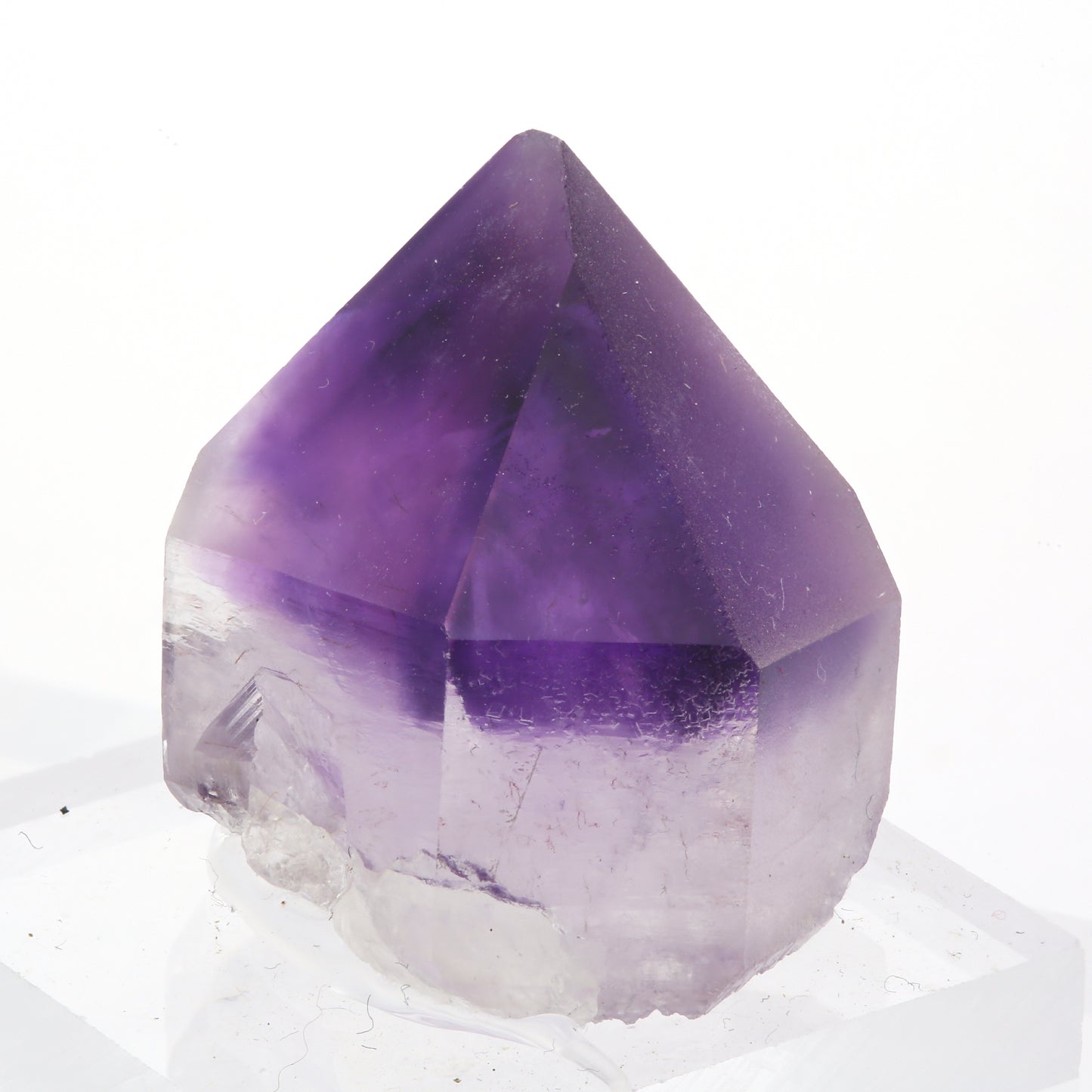 紫水晶 原石 75-7909 - L&Co.