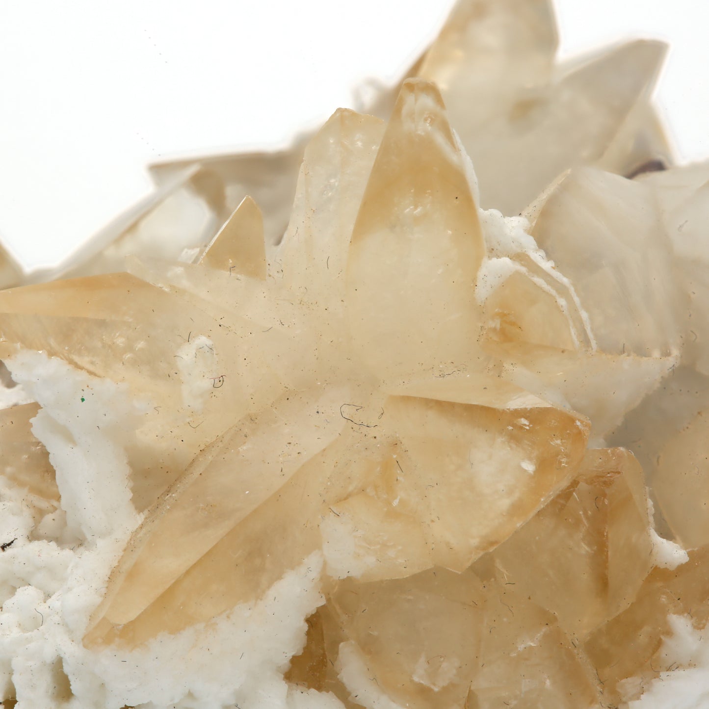 蛍石&方解石 原石 75-7911 - L&Co.