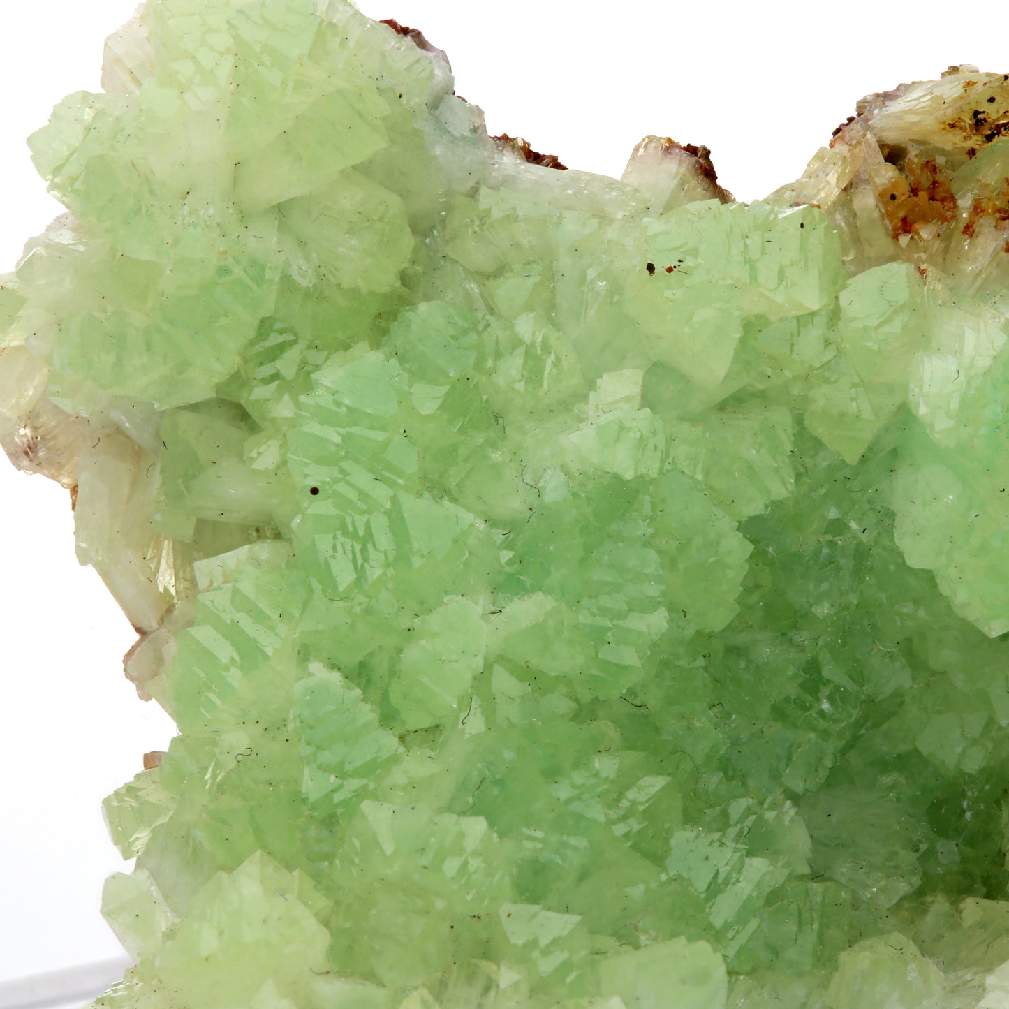 アダム鉱 原石 75-7921 - L&Co.