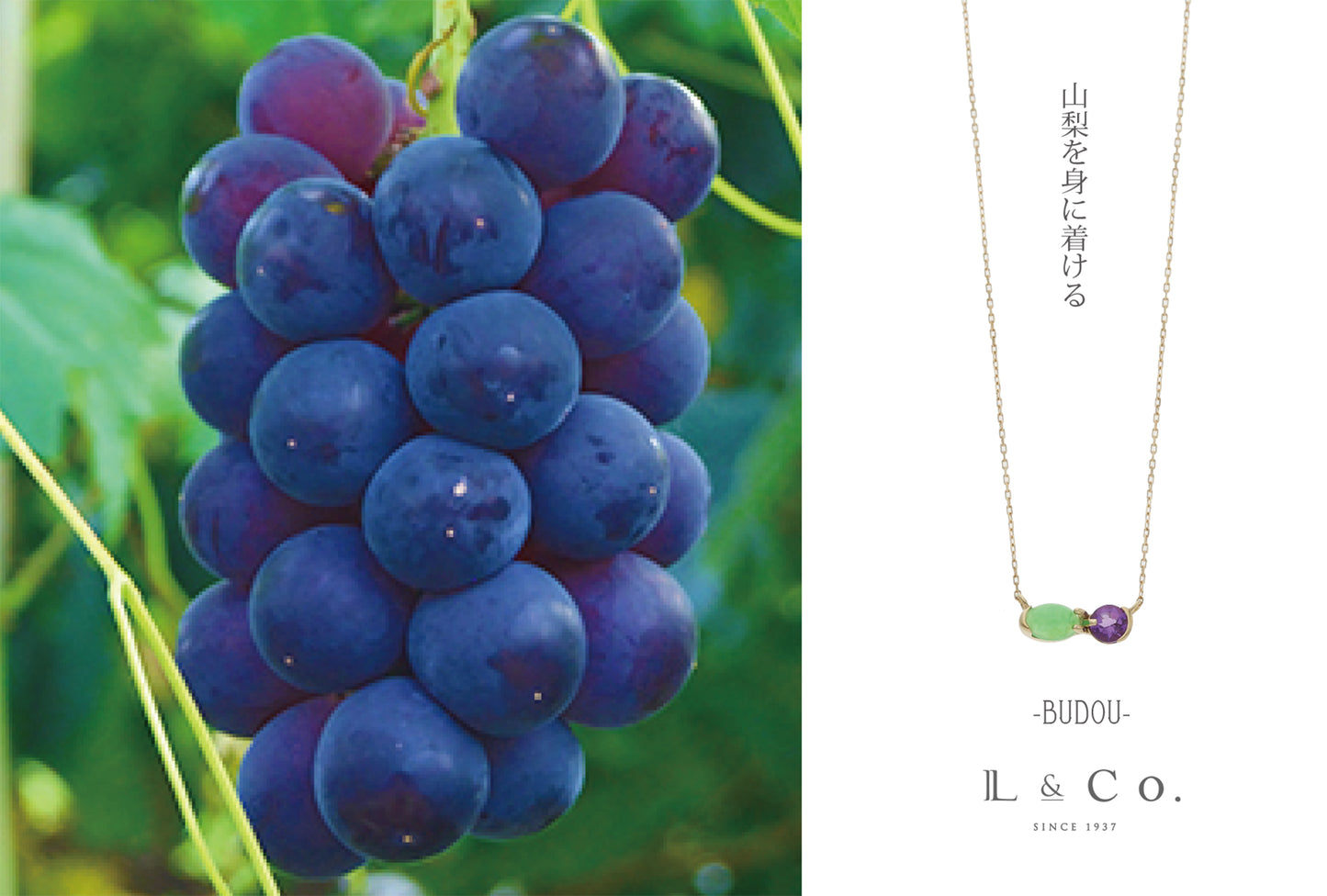 【受注生産】K10 山梨 ネックレス |60-8659-8670