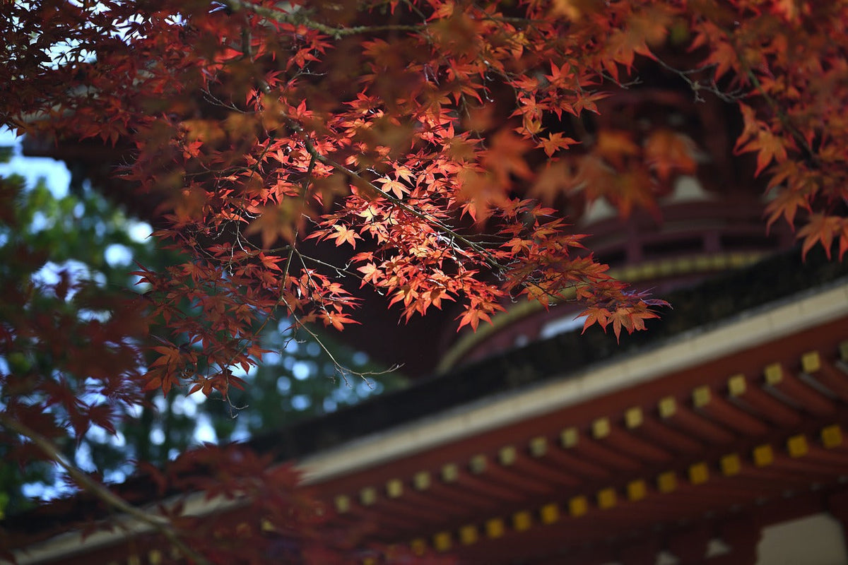 宝石の「和名」って知ってる？和名の意味と成り立ちについて解説
