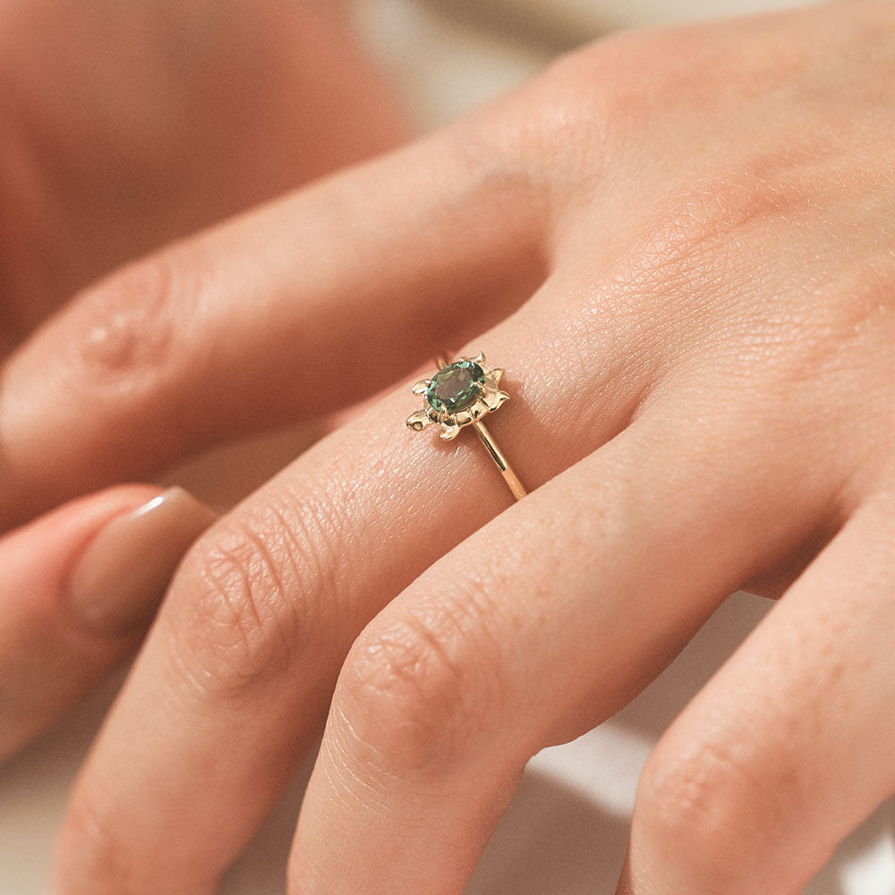 K10 カメ リング｜26-6679