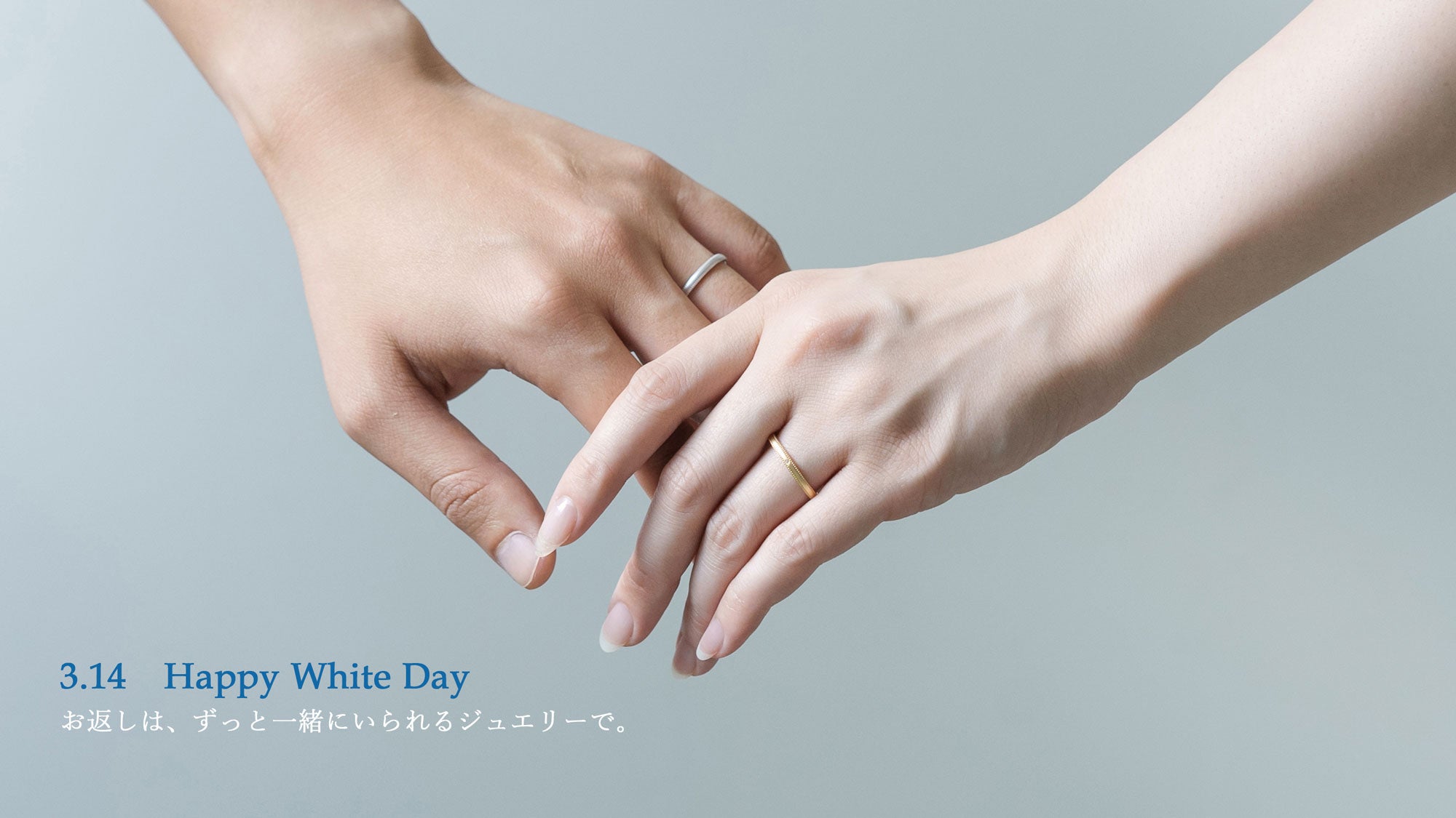 WhiteDayPC用.jpg__PID:ac66d13c-4889-4cbb-8ee9-fd6366809261