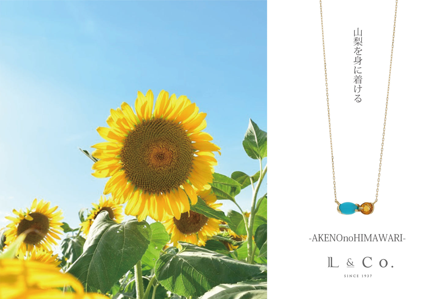 [Made-to-order] K10 Yamanashi necklace ｜60-8659-8670
