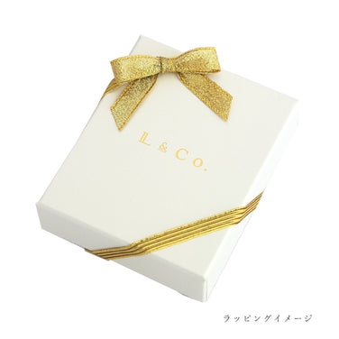 [Gift wrapping] Ribbon and shopping bag