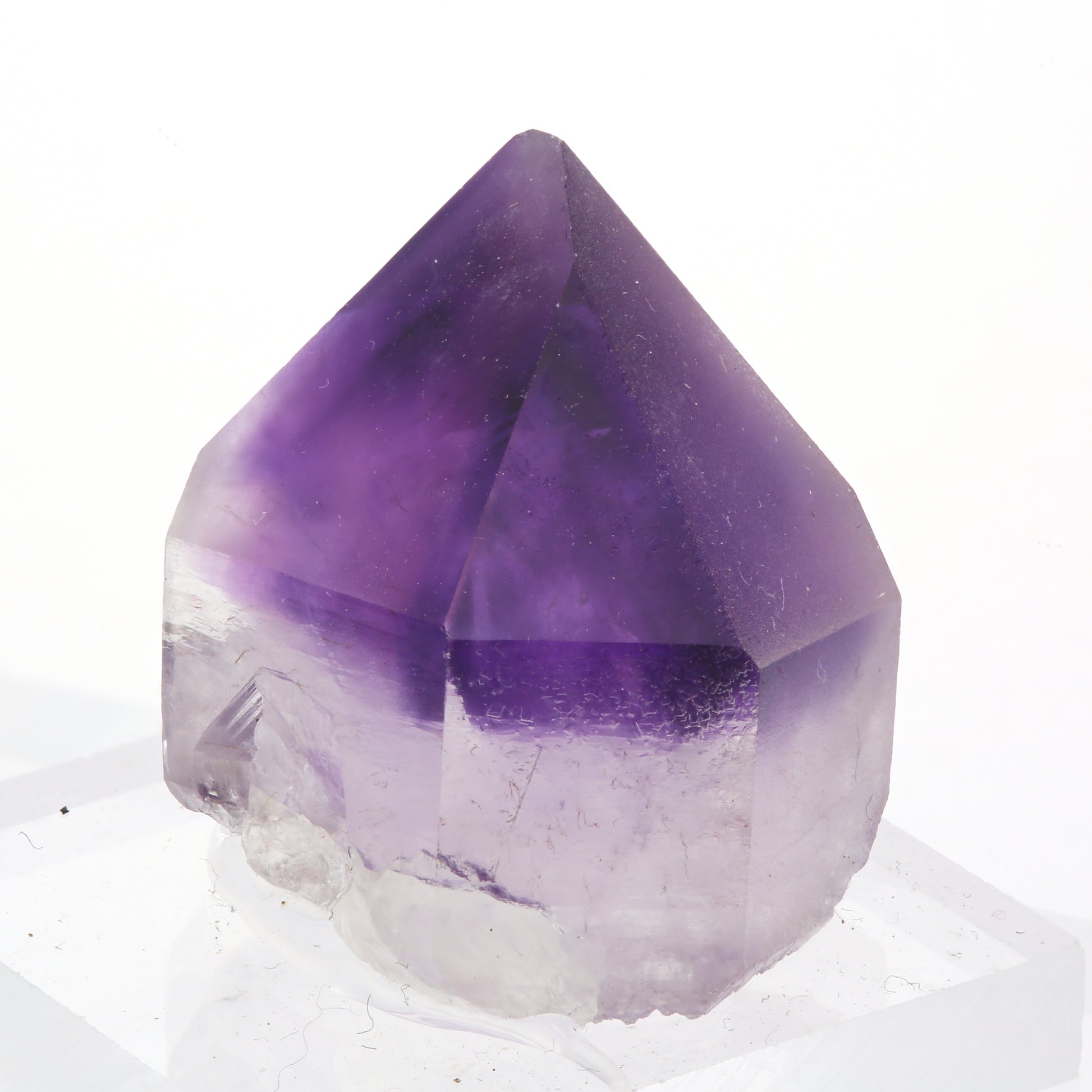 紫水晶 原石 75-7909 - L&Co. 