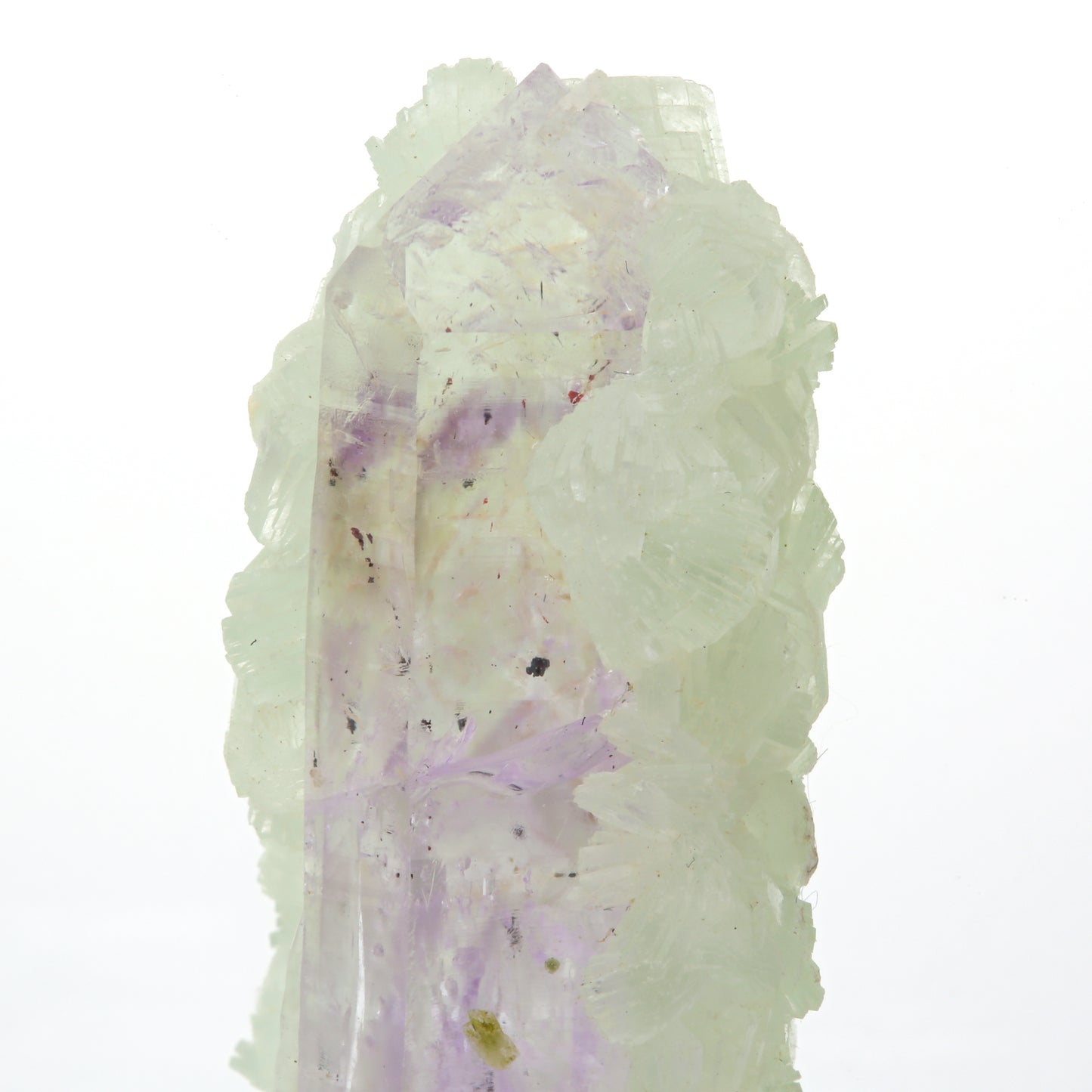 紫水晶＆ブドウ石 原石 75-7916 - L&Co. 