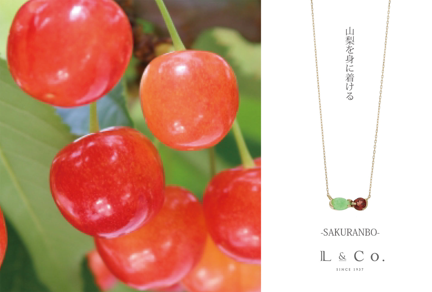 [Made-to-order] K10 Yamanashi necklace ｜60-8659-8670