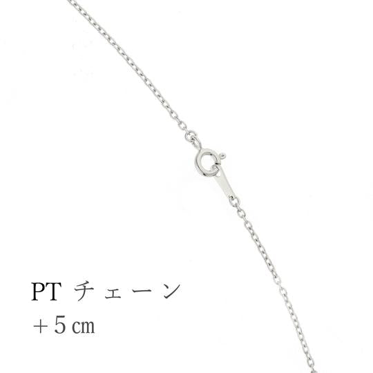 [Repair/Processing] [For PT necklace only] Request to extend chain length
